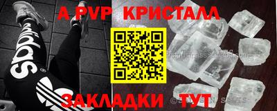 ГАЛЛЮЦИНОГЕННЫЕ ГРИБЫ Свободный