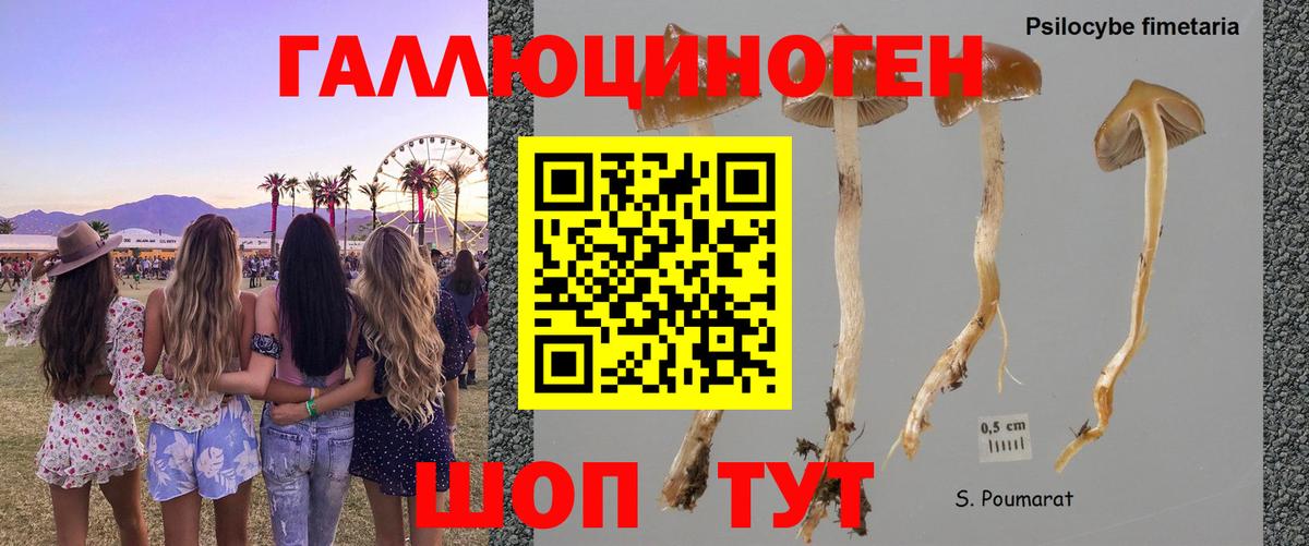 Новый Уренгой  Галлюциногенные грибы Psilocybe  купить закладку  Вход с VPN 